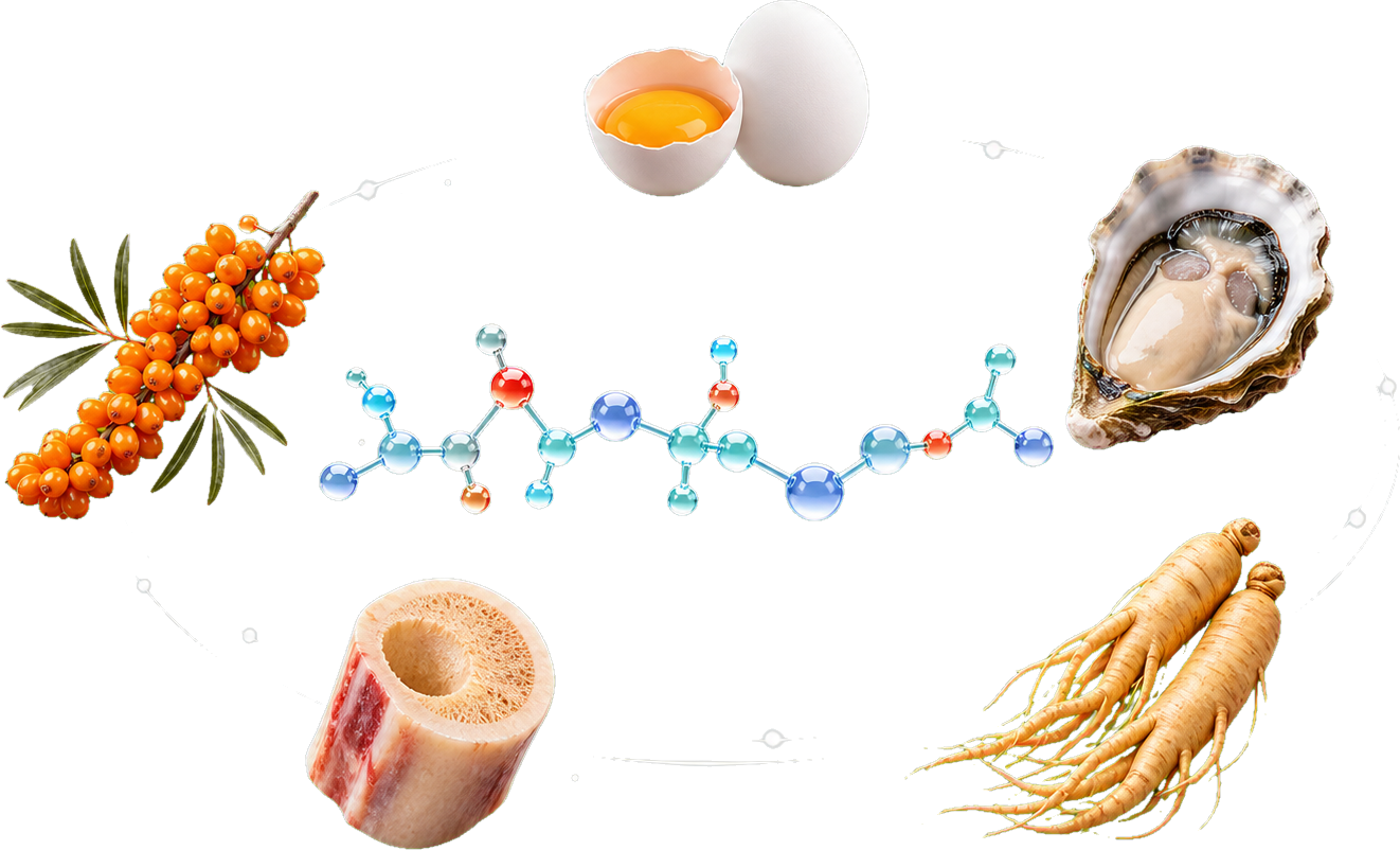 本源肽 · 五味原料环绕肽分子（虚构）